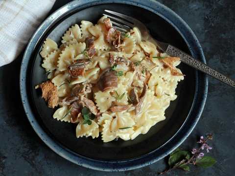 Farfalle dans la recette crémeuse de la sauce aux champignons Recette Indienne Traditionnelle