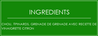 Chou, épinards, grenade de grenade avec recette de vinaigrette citron Ingrédients Recette Indienne Traditionnelle