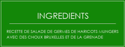 Recette de salade de germes de haricots mungers avec des choux bruxelles et de la grenade Ingrédients Recette Indienne Traditionnelle