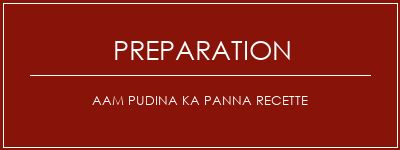 Réalisation de AAM PUDINA KA Panna Recette Recette Indienne Traditionnelle