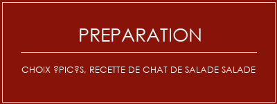 Réalisation de Choix épicés, recette de chat de salade salade Recette Indienne Traditionnelle