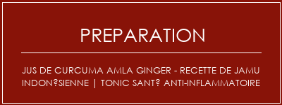 Réalisation de Jus de curcuma Amla Ginger - Recette de Jamu indonésienne | Tonic santé anti-inflammatoire Recette Indienne Traditionnelle