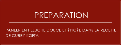 Réalisation de Paneer en peluche douce et épicée dans la recette de curry kofta Recette Indienne Traditionnelle