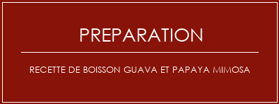 Réalisation de Recette de boisson GUAVA et PAPAYA MIMOSA Recette Indienne Traditionnelle