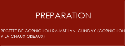 Réalisation de Recette de cornichon Rajasthani Gunday (cornichon à la chaux oiseaux) Recette Indienne Traditionnelle