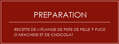 Réalisation de Recette de mélange de piste de pelle à puce d'arachide et de chocolat Recette Indienne Traditionnelle