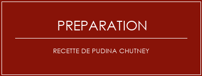 Réalisation de Recette de pudina chutney Recette Indienne Traditionnelle