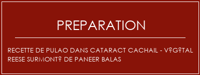 Réalisation de Recette de Pulao dans Cataract Cachail - Végétal Reese surmonté de Paneer Balas Recette Indienne Traditionnelle