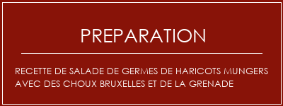 Réalisation de Recette de salade de germes de haricots mungers avec des choux bruxelles et de la grenade Recette Indienne Traditionnelle