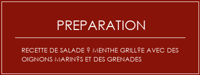 Réalisation de Recette de salade à menthe grillée avec des oignons marinés et des grenades Recette Indienne Traditionnelle