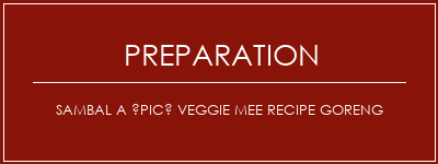 Réalisation de Sambal a épicé Veggie Mee Recipe Goreng Recette Indienne Traditionnelle