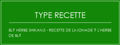 Blé herbe Shikanji - Recette de limonade à l'herbe de blé Spécialité Recette Indienne Traditionnelle