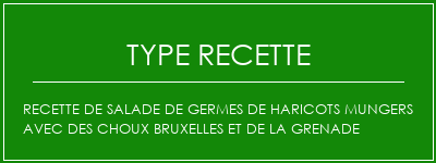 Recette de salade de germes de haricots mungers avec des choux bruxelles et de la grenade Spécialité Recette Indienne Traditionnelle